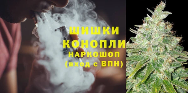 гашик Горнозаводск